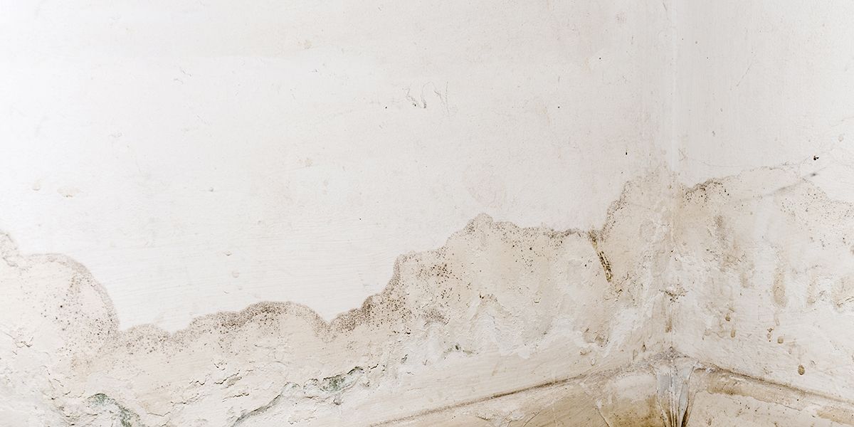 Comprendre et traiter les remontées capillaires