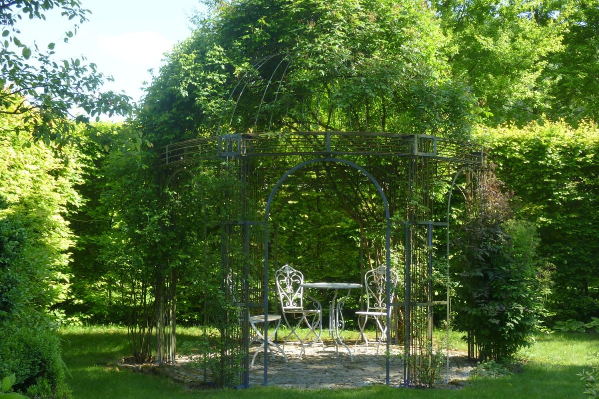 Embellissez votre jardin : les meilleures plantes grimpantes