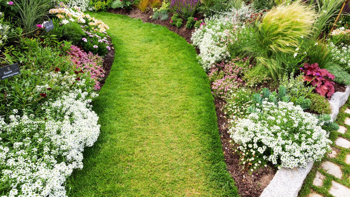 Fleurs éclatantes : le guide pour un jardin en fleurs rapidement