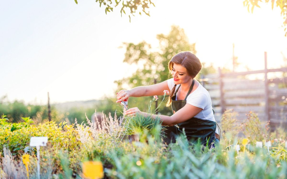 jardiner à l'ombre : des fleurs qui illuminent vos espaces
