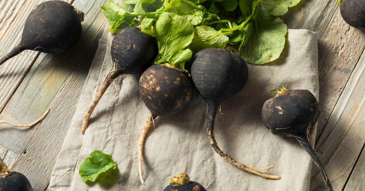 radis noir : le légume détox à (re)découvrir cet hiver