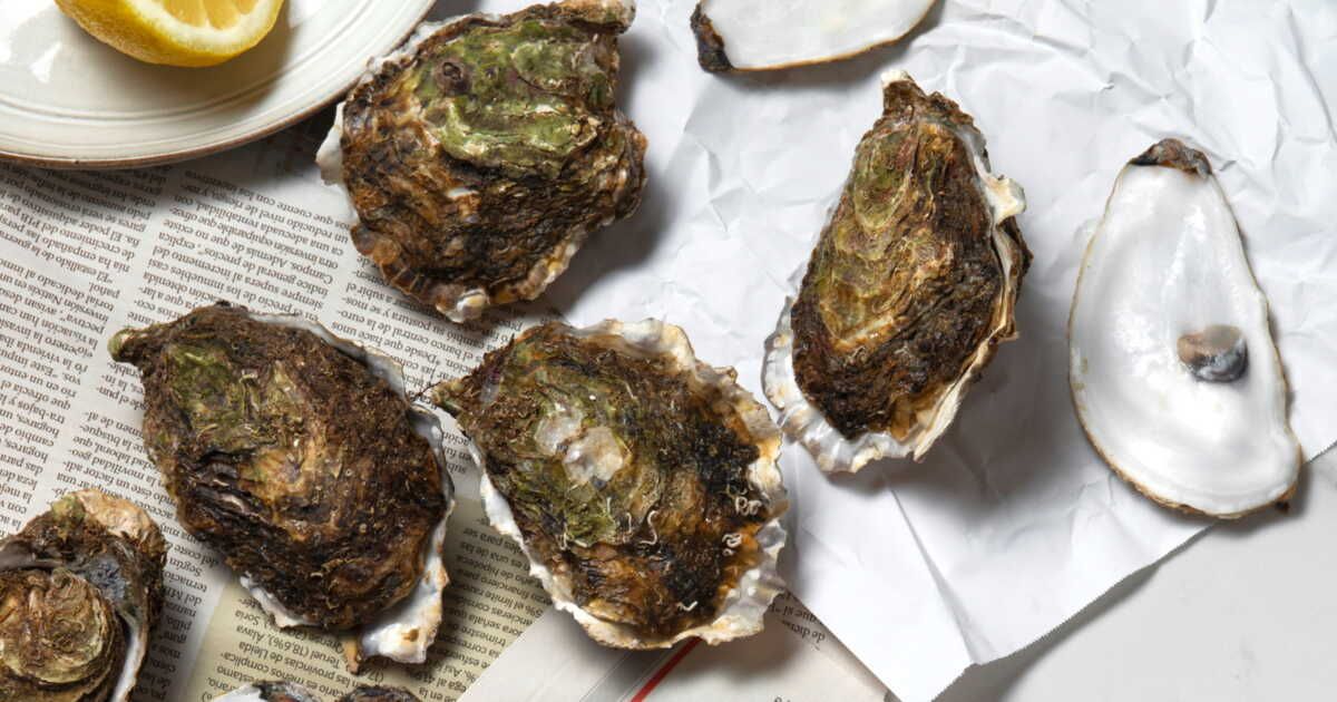 où jeter les coquilles d’huîtres et de Saint-Jacques après le repas ?