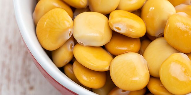 Découverte des graines de lupin : un trésor nutritif au service de votre santé