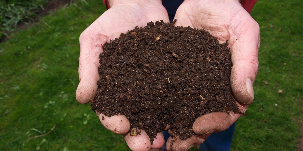 Découvrir quand votre compost est prêt : 5 indicateurs fiables