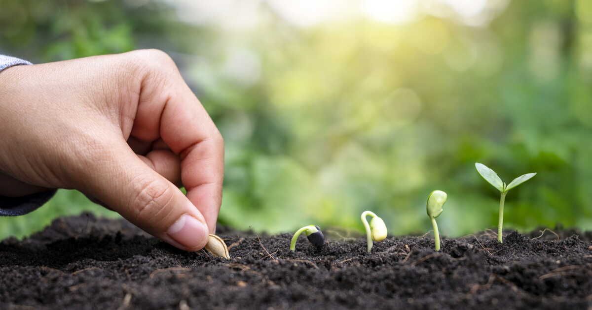 Semer avec la Lune : Guide Pratique et Astuces Incontournables