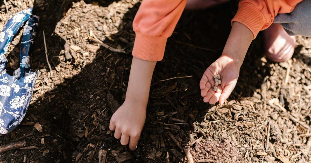 Le tri des biodéchets devient incontournable : ce qu'il faut savoir pour 2024