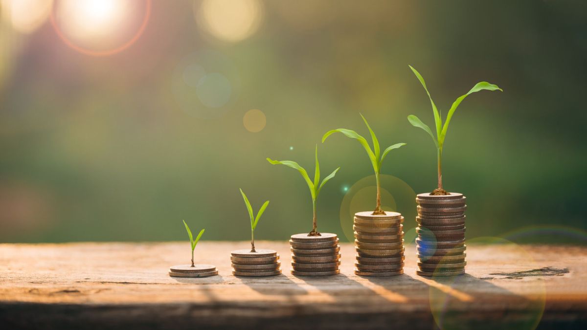 Placements verts : déjouez les arnaques avant qu'il ne soit trop tard