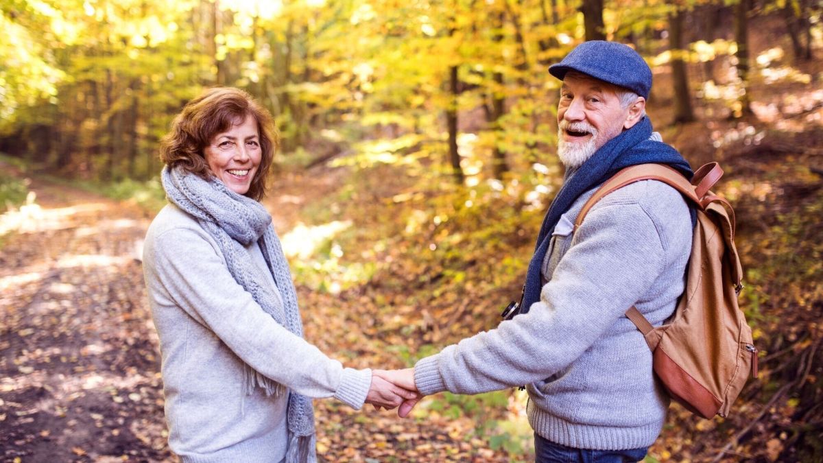 Ramasser du bois en forêt : ce que vous devez savoir