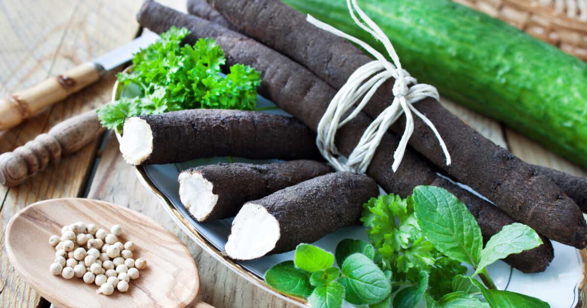 Découvrez comment sublimer les salsifis en cuisine