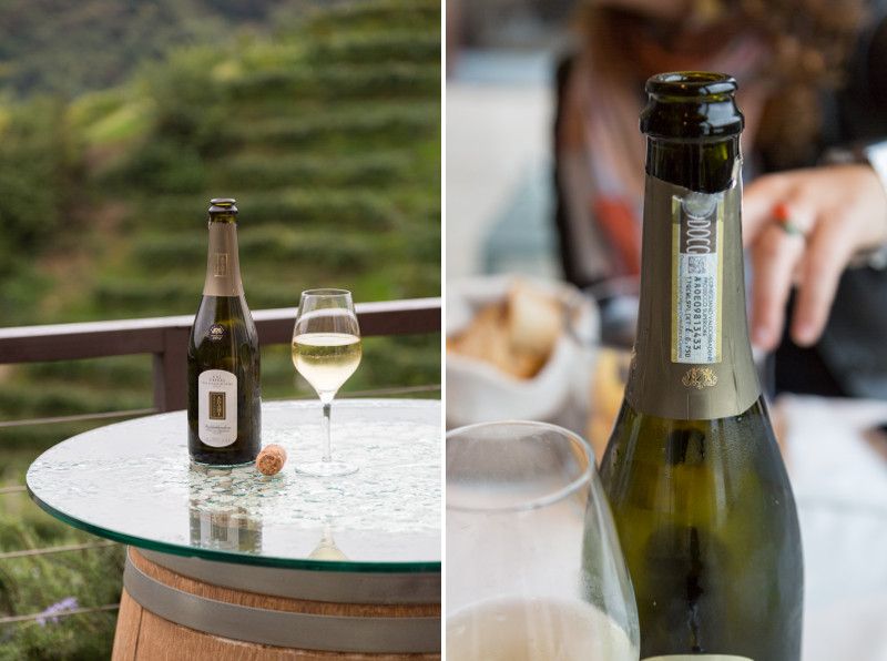 À la découverte du Prosecco Superiore Conegliano Valdobbiadene DOCG