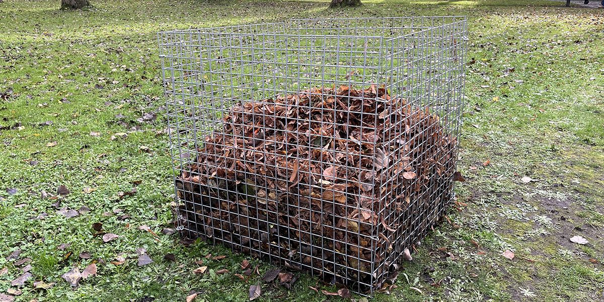 Fabriquer son terreau à partir de feuilles mortes : simplifiez-vous le jardinage