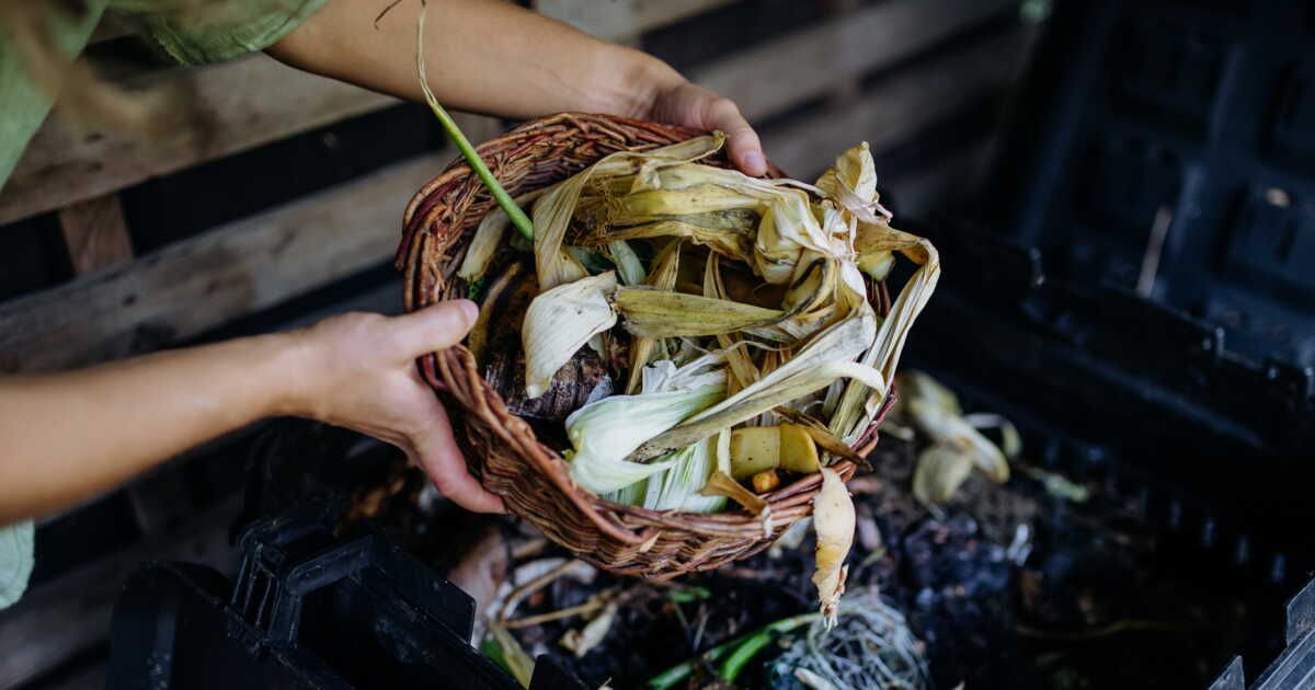 Compost : les déchets à éviter pour un recyclage efficace
