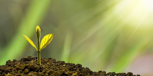 Démystifier la gestion sous mandat en assurance vie