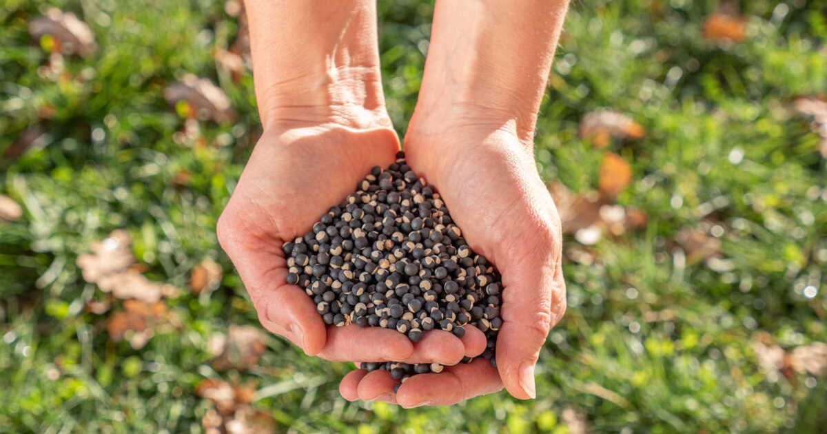 Les secrets pour réussir vos semis au printemps