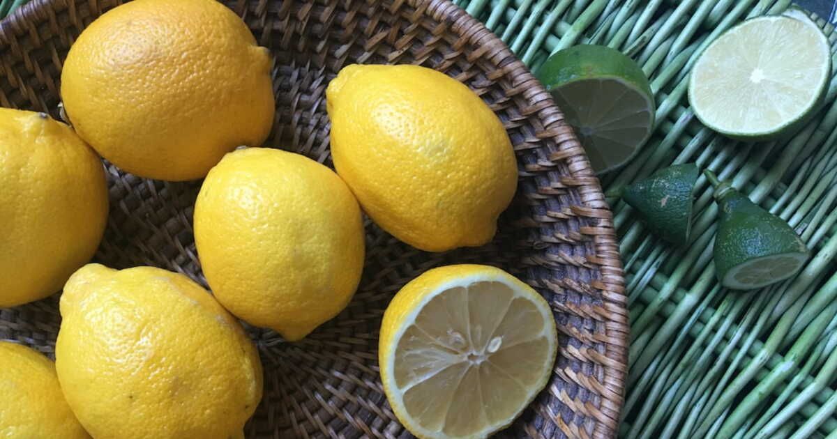 Le citron, l'agrume qui sublime chaque plat