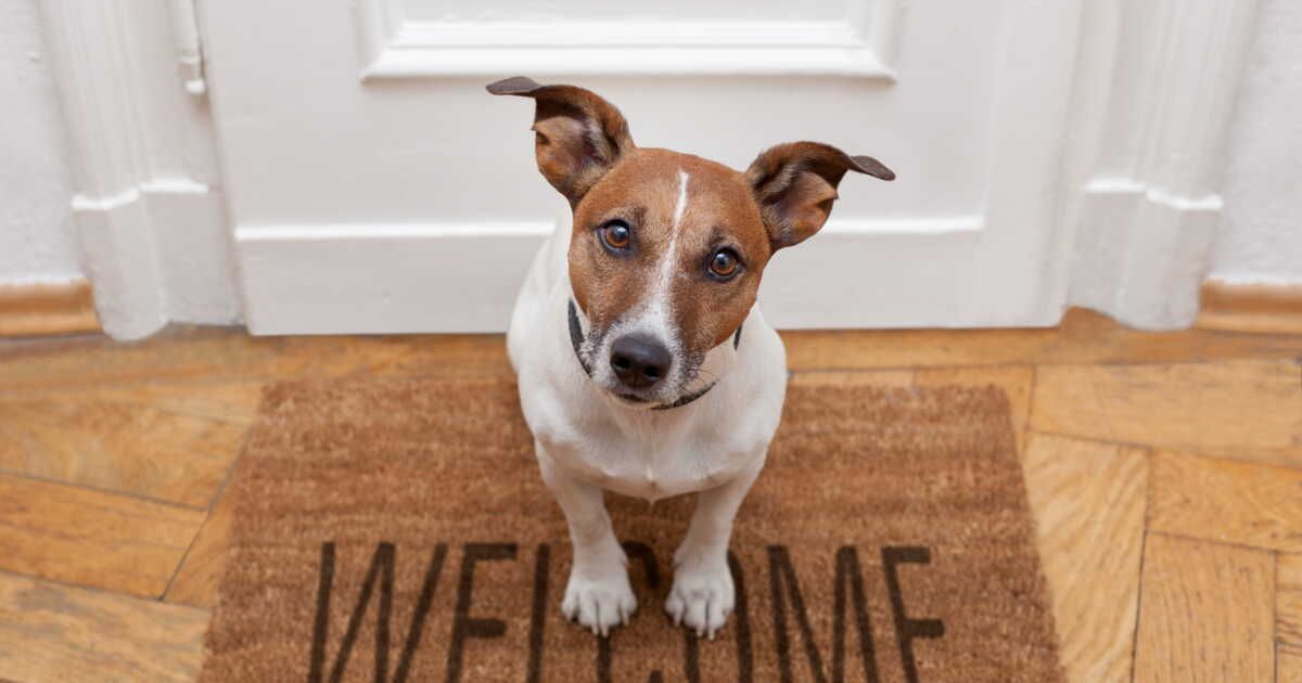 Comment bien nettoyer un paillasson ?