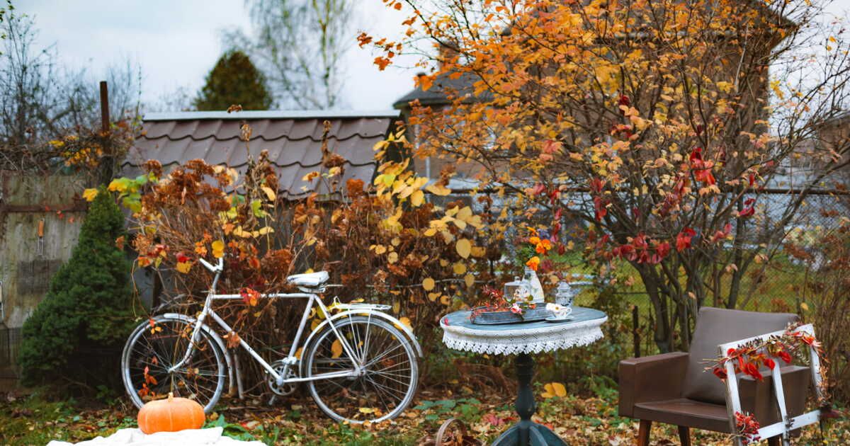 Pourquoi l’automne est la saison de choix pour le jardinage