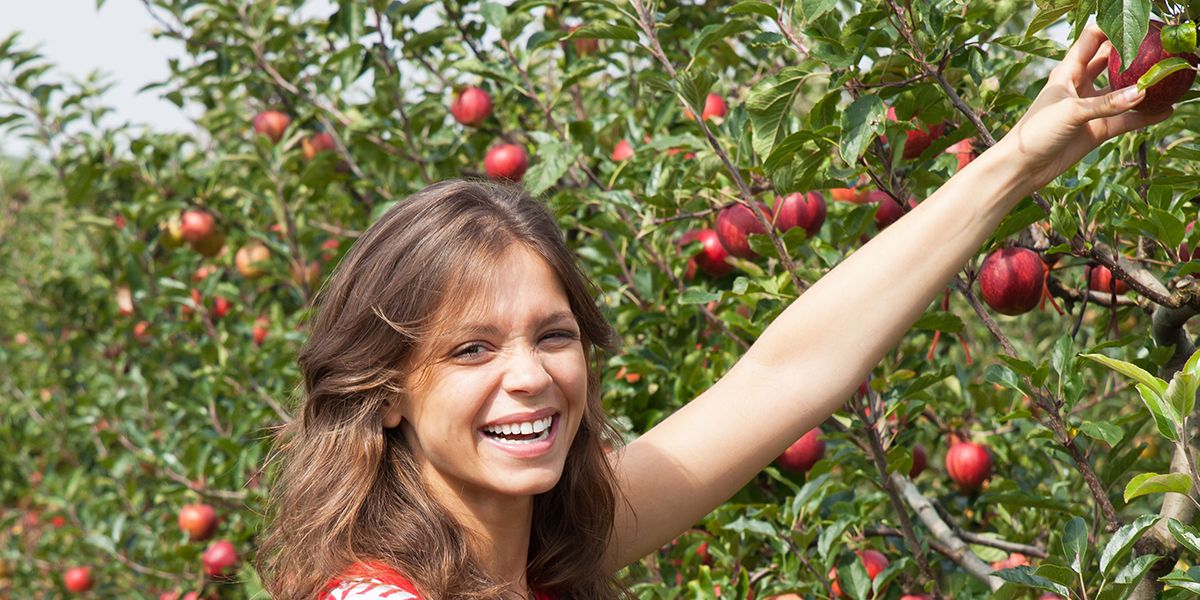 Des idées innovantes pour gagner de l’argent en tant que mineur
