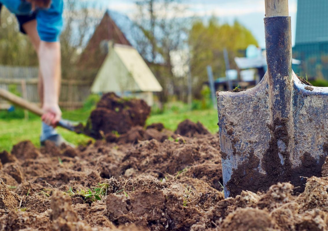 Cette habitude de jardinage pourrait nuire à votre sol : les erreurs à éviter cette saison