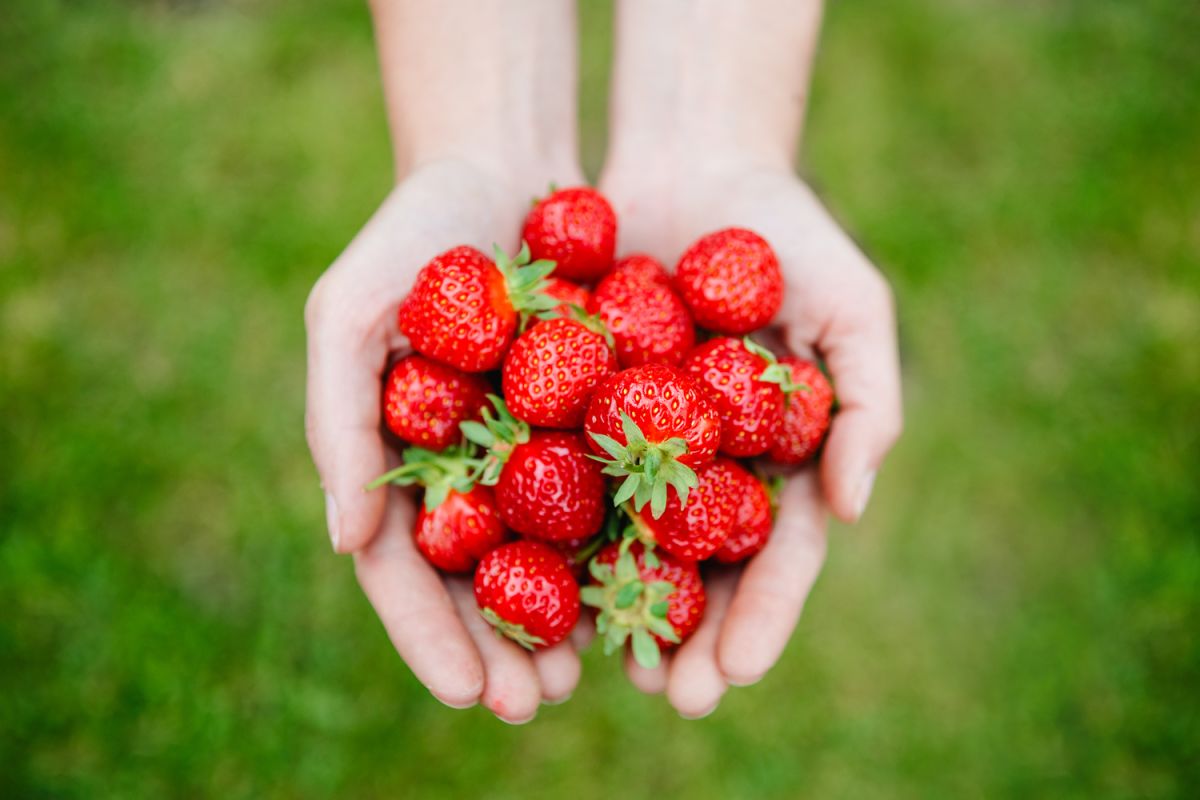 3 raisons irrésistibles de céder à vos envies de fraises