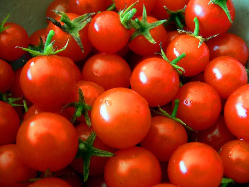 Savourer la tomate : un allié minceur à ne pas négliger