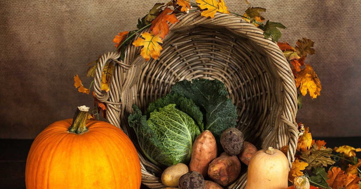 L'art des associations de légumes pour des plats savoureux