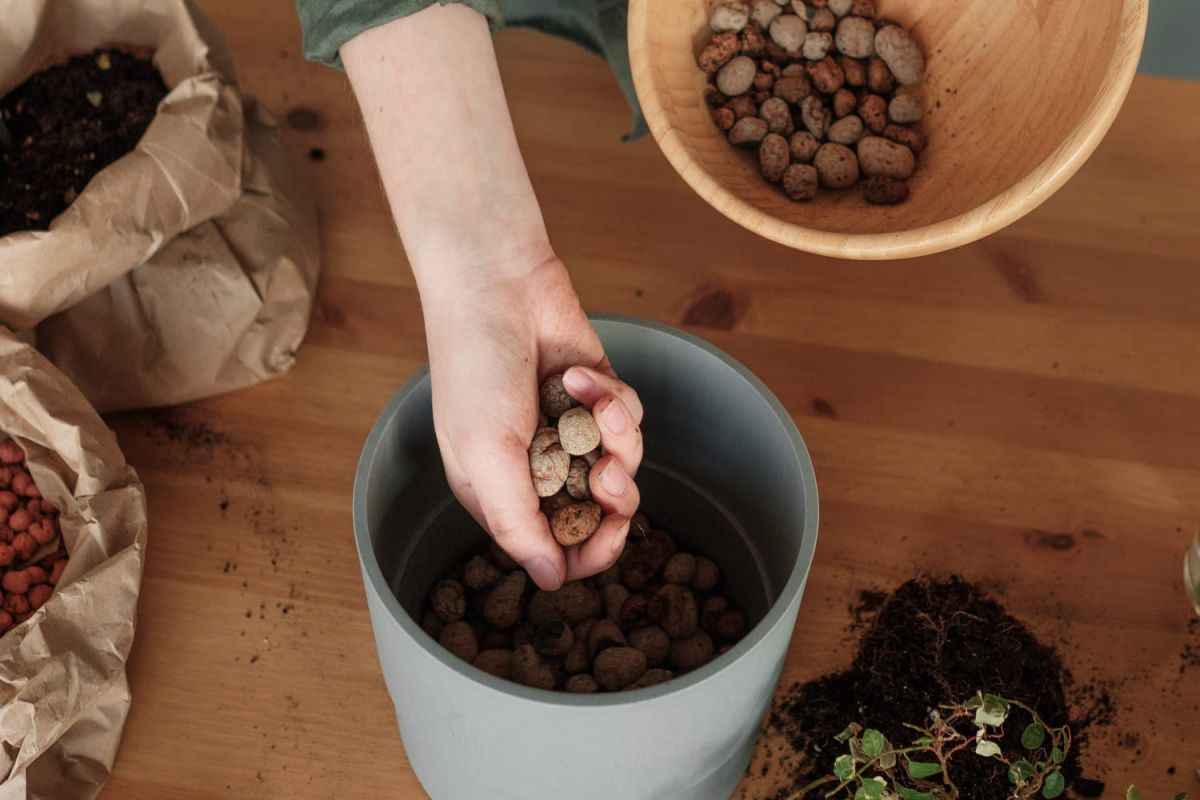 Les billes d'argile : un atout indispensable pour vos plantes