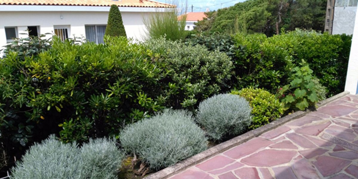 L'art de cultiver des jardins à sol sec pendant l'été