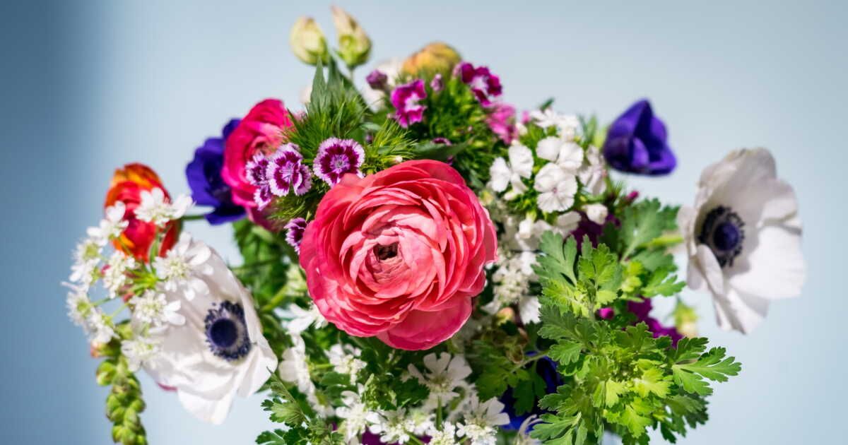 Des fleurs de saison pour une Saint-Valentin écoresponsable