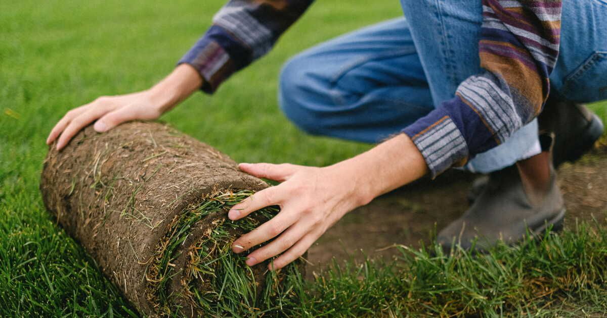 Installer un gazon prêt à poser : guide étape par étape