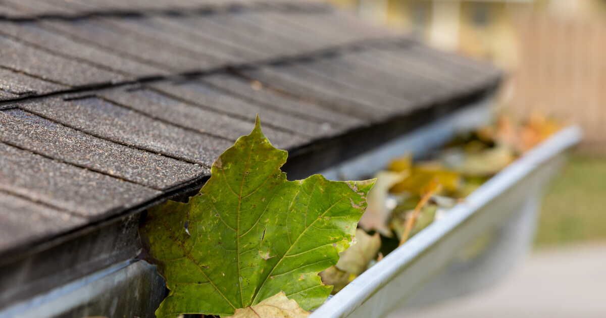 Comment entretenir ses gouttières ?