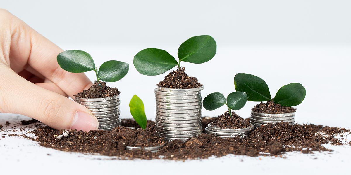 Fructifier votre argent : 5 stratégies gagnantes à découvrir