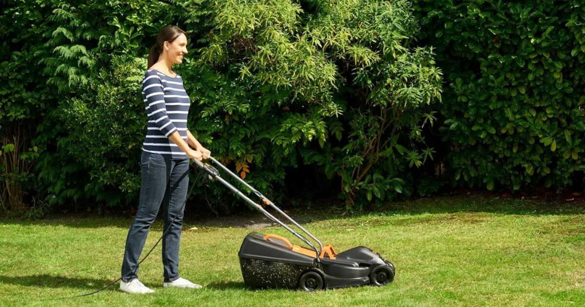 Transformez votre jardin avec cette tondeuse à gazon à prix mini