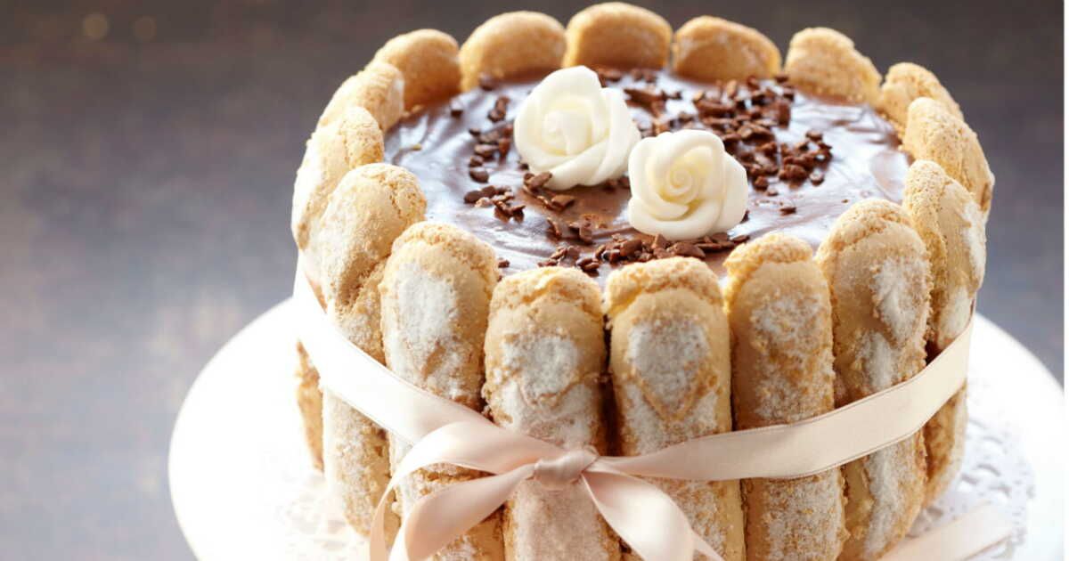 la délicieuse charlotte au chocolat : un marie entre noir et blanc