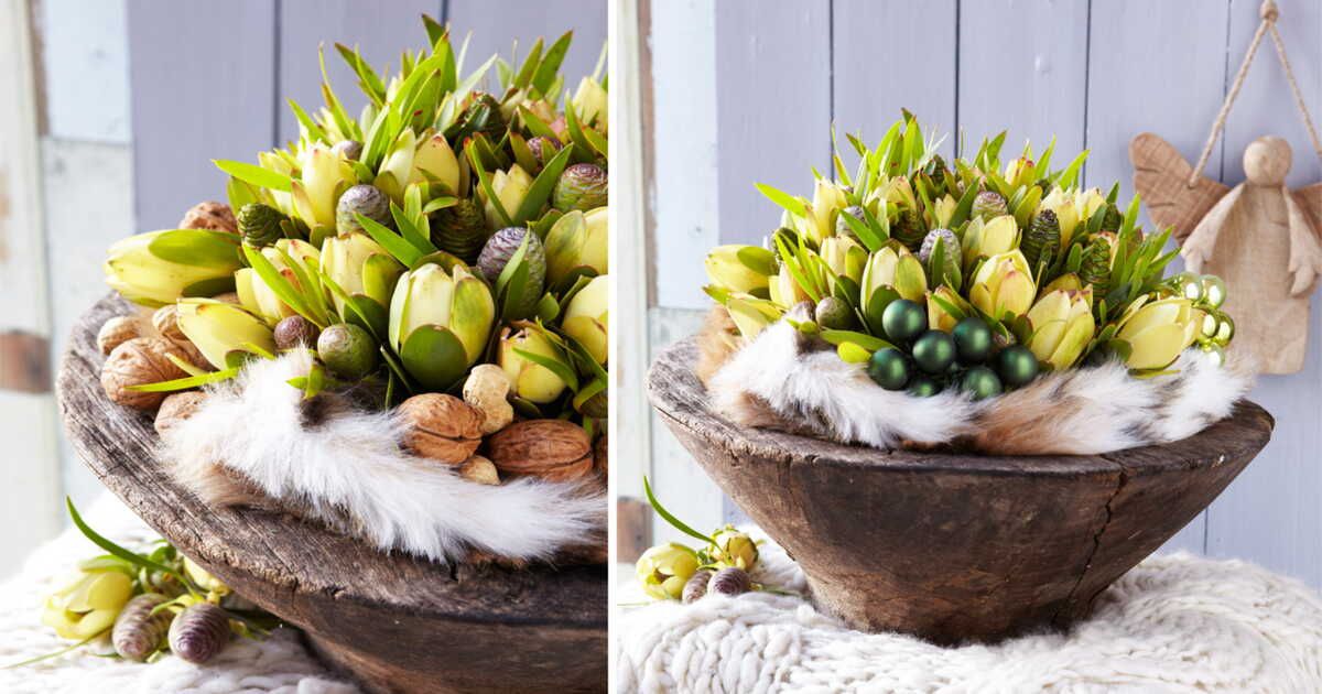 Art floral : un bouquet de Noël de protéas