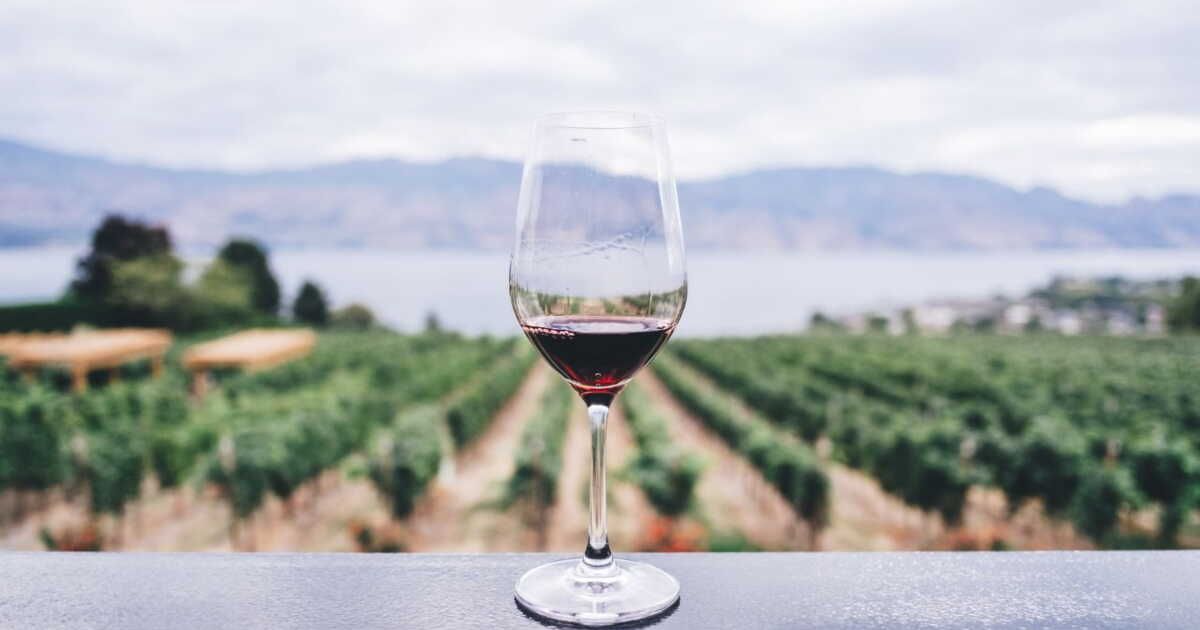 Apprendre à déguster le vin