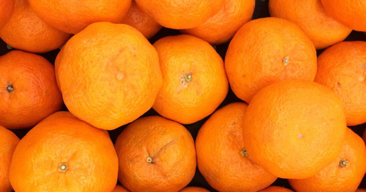 Profitez des dernières oranges avec ces 6 recettes irrésistibles