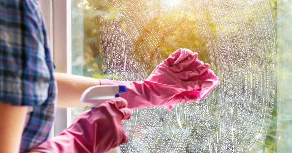 Des astuces efficaces pour nettoyer les fientes d'oiseaux sur vos fenêtres
