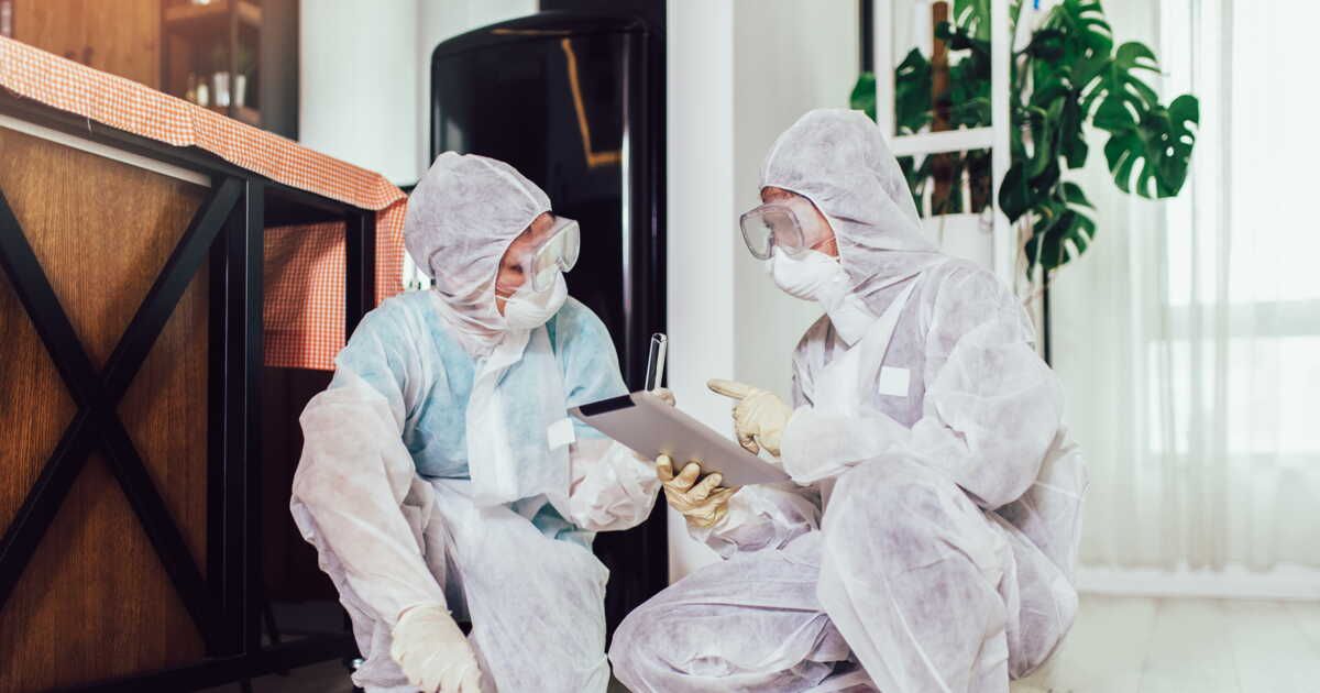 Éviter les pièges : 5 erreurs à ne pas commettre avec les punaises de lit