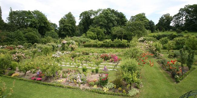 Découvrez les jardins enchanteurs de l'Abbaye de Vaucelles