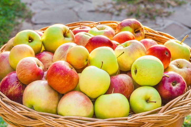 Les bienfaits insoupçonnés de la pomme sur notre santé