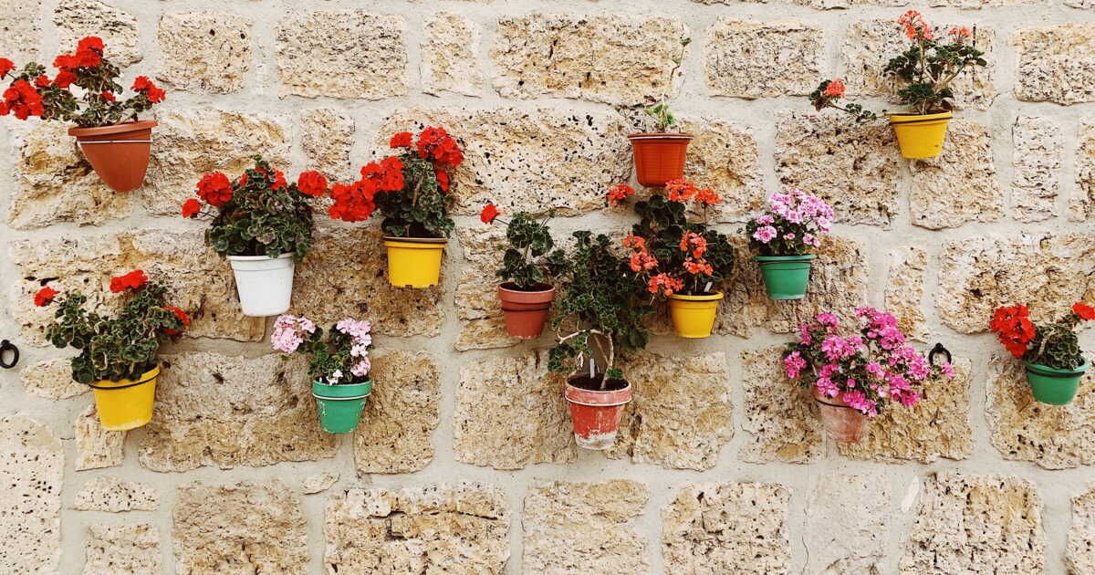 Transformez votre jardin avec nos astuces déco pour murs extérieurs