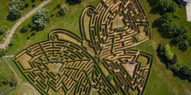 Les jardins de Colette : un voyage immersif au cœur des sens
