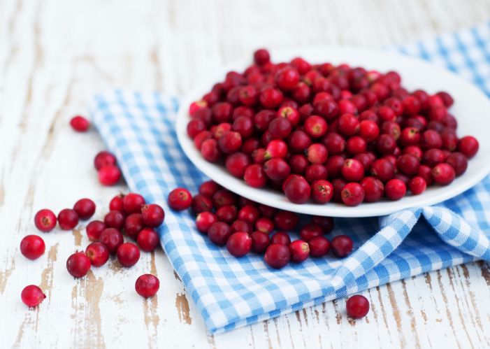 Cranberries : une promesse de longévité révélée par la science