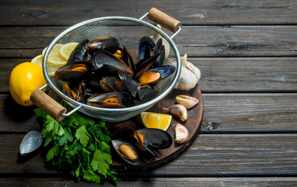 15 façons de préparer les moules