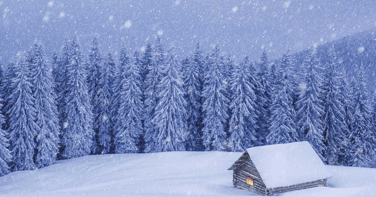 Un Noël enchanté : l'aventure d'une nuit en forêt