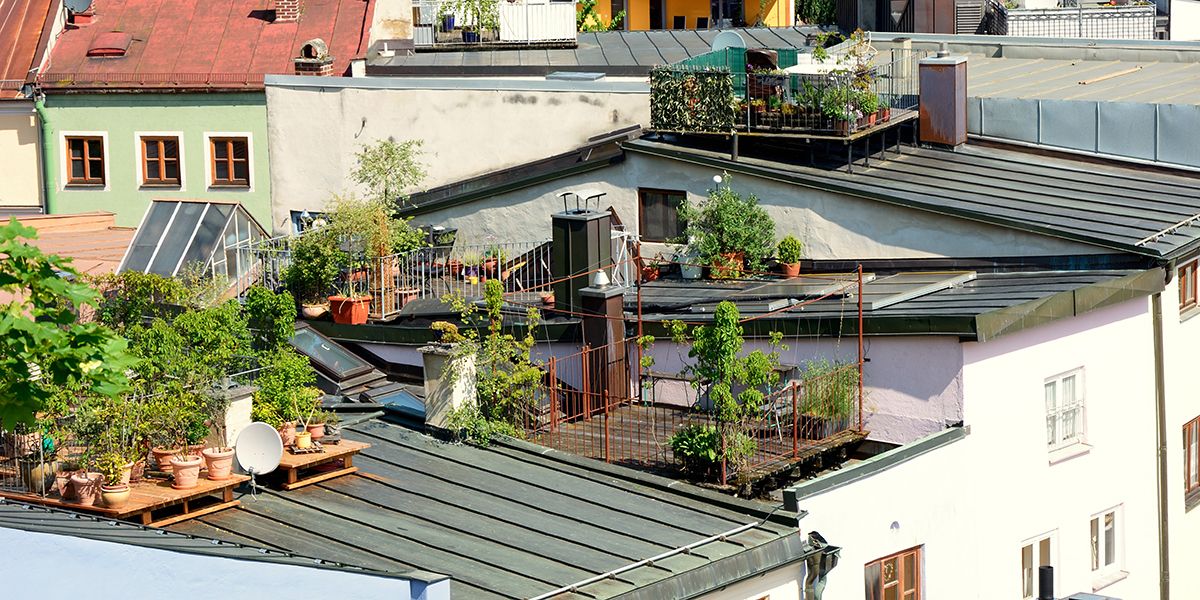 Le toit terrasse : un espace de vie à ciel ouvert