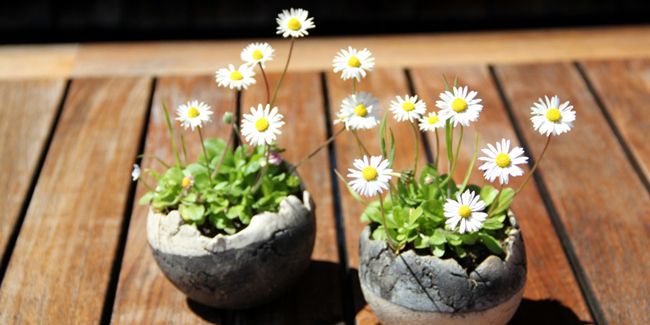 Construire une table de pique-nique pour votre jardin : guide pratique