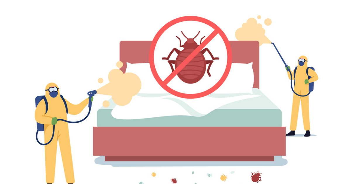 Lutter contre les punaises de lit : les fumigènes sont-ils vraiment fiables ?