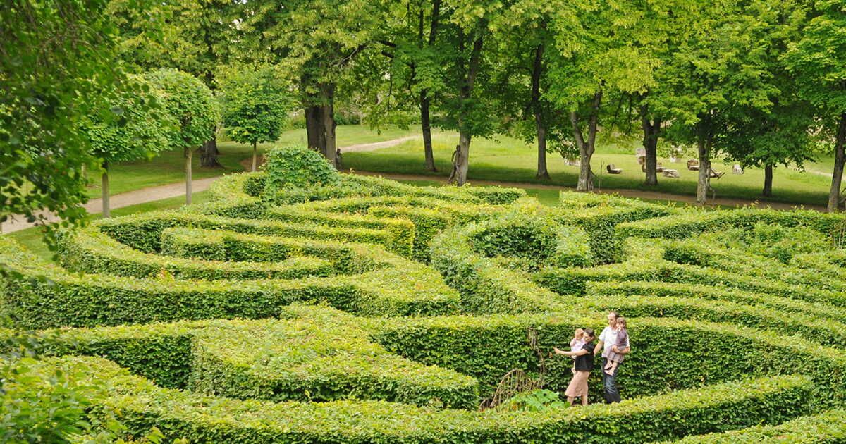 s'évader au jardin pour un esprit apaisé
